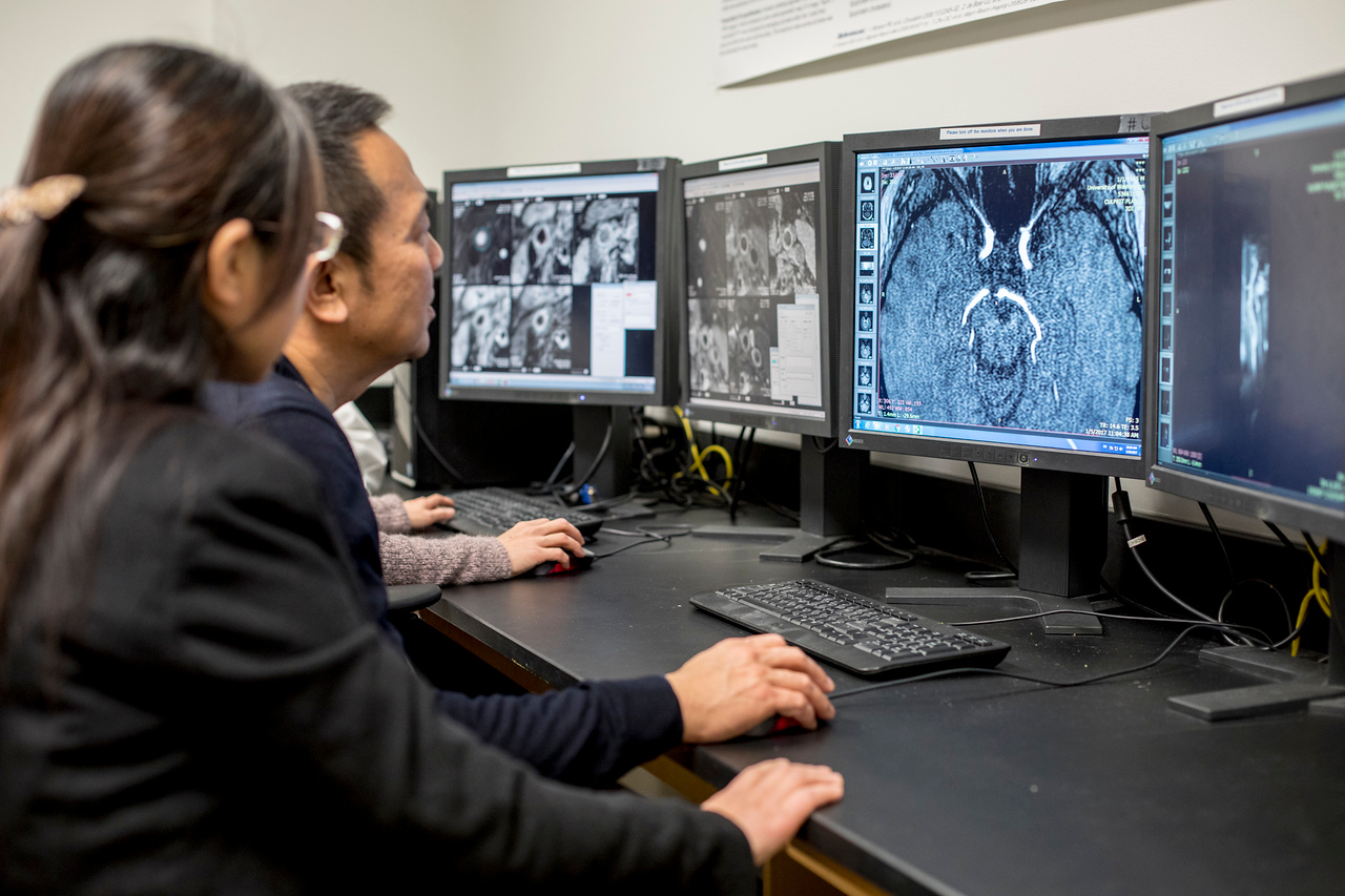 People looking at medical images on computer monitors.