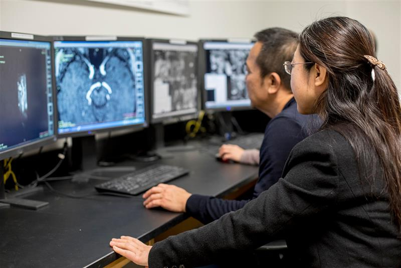 Scientists viewing radiology scans.
