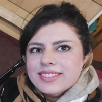 Dr. Sara Haseli.