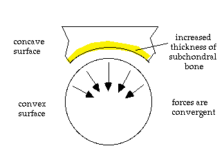 Concave Convex 2.