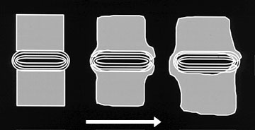 Three diagrams showing degeneration of the annulus.