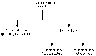 Fractures WST flowchart.