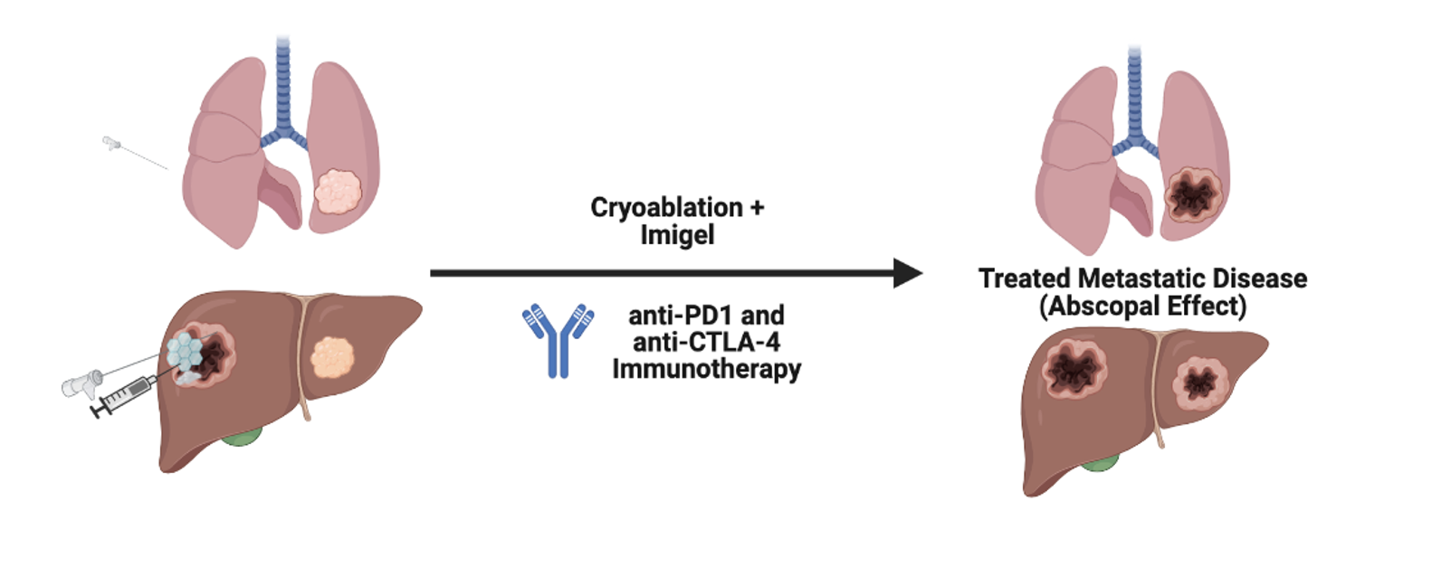 Immunogel.