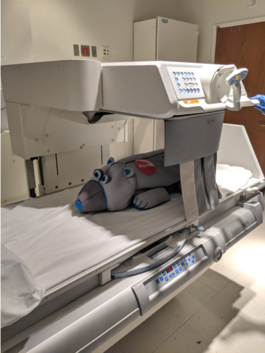 Fluoroscopic scanner with stuffed animal.