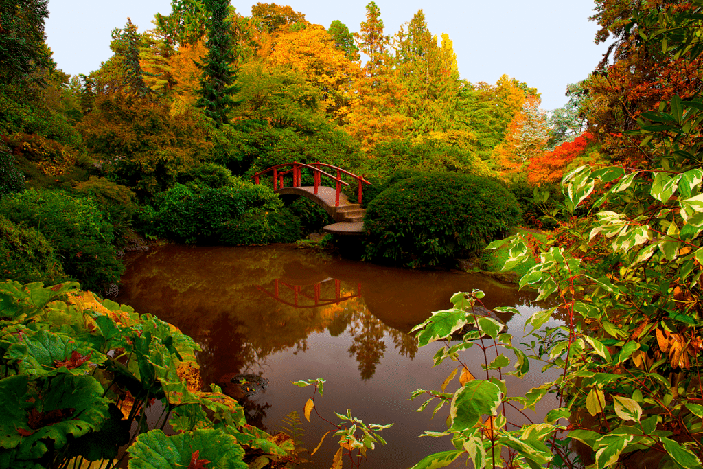 Japanese Garden.