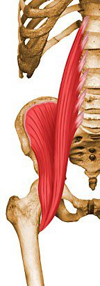 Psoas.