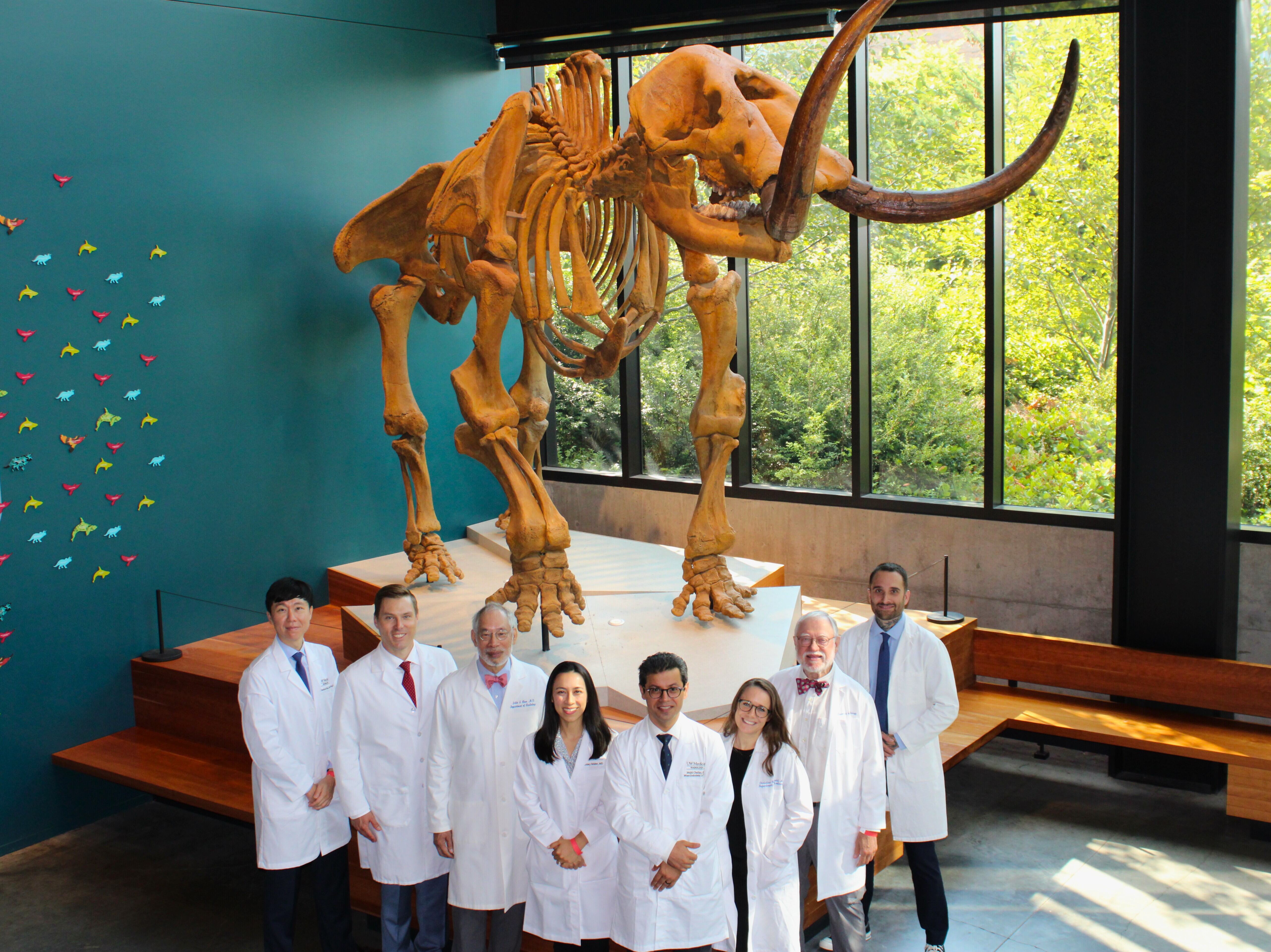 Image of MSK Faculty