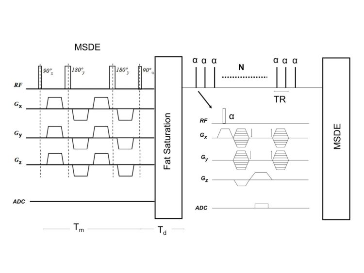 MSDE-fat sat flow.